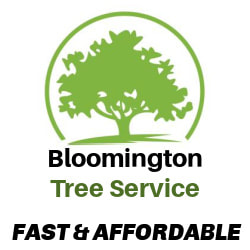 Bloomington Tree Service | Tree Service Bloomington IL